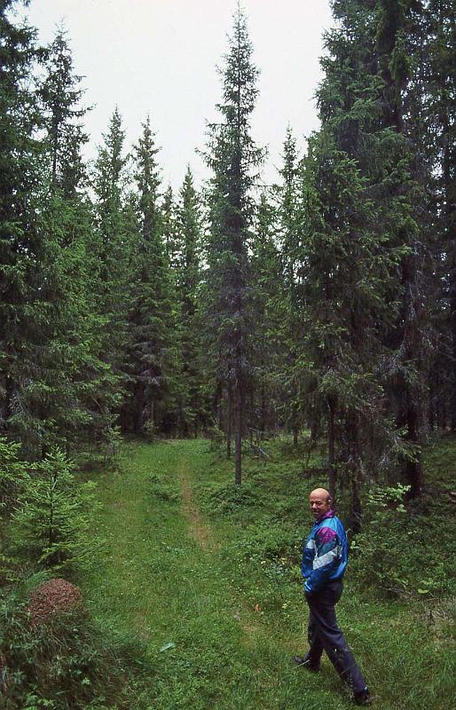 WT 3300 368-38 Norway JohnArne Narum in the Woods.jpg